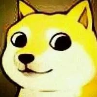 DƬ